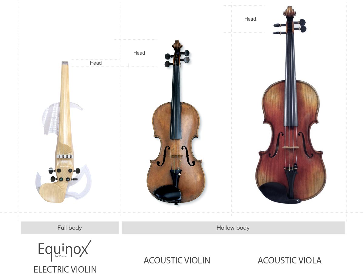 What are differences between a violin and a viola?