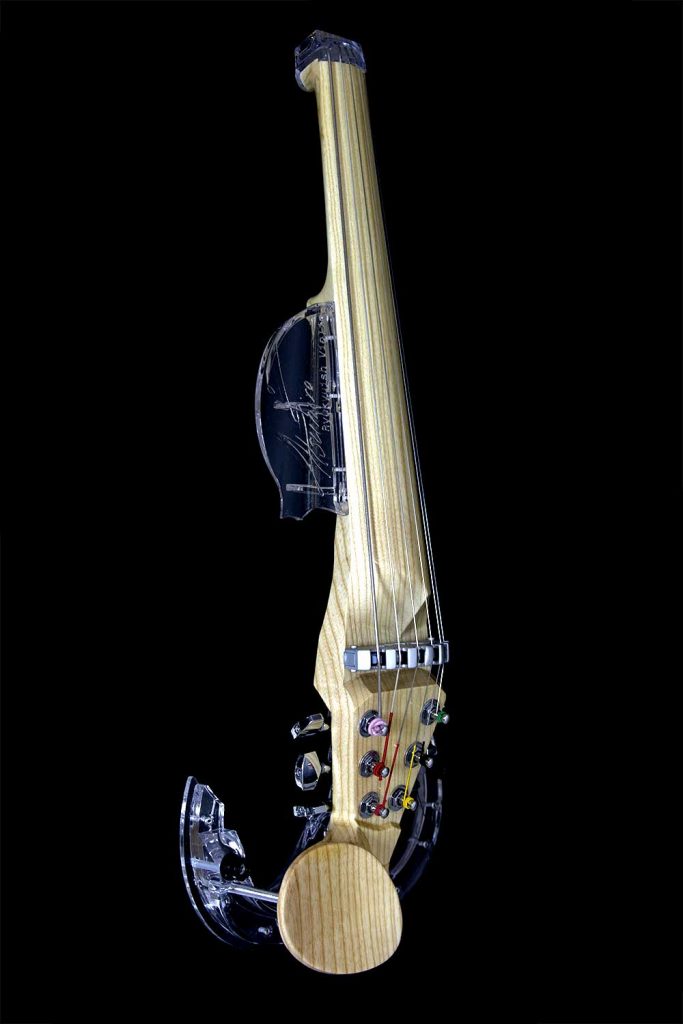 Guitare électro-acoustique de qualité à 5 cordes, jacinthes d'arbre de  violon électronique, taille mp3